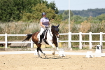 SBM_001653