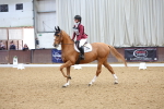 SBM_002644