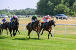 150726-Race 4-The Good Biscuit-3362