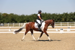 SBM_005611