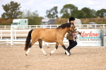 SBM_16067