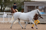 SBM_09231