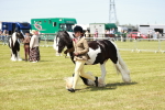 SBM_04217