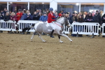 SBM_004034
