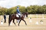 SBM_003376