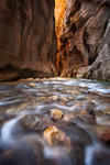 Zion Narrows 2