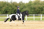 SBM_003549