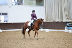 SBM_014951