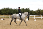 SBM_004607