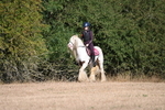 WJ6_7077