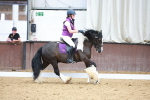 SBM_006171