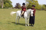 Small Pony Championship portfolio