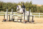 SBM_03780