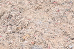 240623A-092019-16203