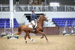 SBM_003531