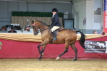 SBM_20110