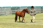 SBM_06855