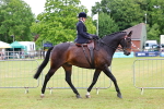 SBM_02811