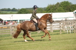 SBM_09770