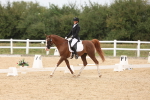 SBM_02067