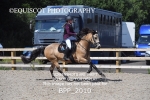 BPP_2010