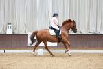 SBM_001016