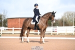 Class 6, FEI PSG Gold portfolio