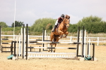 SBM_026207