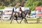 SBM_12273