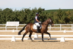SBM_003769