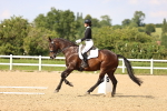 SBM_002826