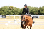 SBM_003393