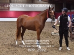 BPP_2592