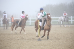 SBM_001005