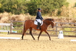 SBM_000146