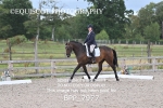 BPP_7977