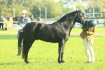 SBM_58457