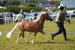 DSC04978
