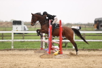 SBM_002356