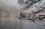 Misty Winter Reflections