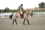 SBM_06986