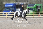 BPP_9168