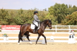 SBM_015019