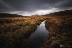 Marshlands