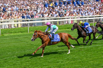 Race 4 14.58pm Al Basti Equiworld Dubai Criterion Stakes portfolio