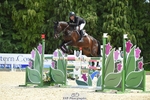 319-RINGFORT_REVE_DU_MOULIN-Andrew_Downes-SUNTrotUp+SJ portfolio