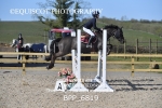 CLASS 14 SUN Springboard 128cm/ 138cm Restricted Handicap portfolio