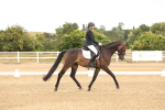 SBM_000790