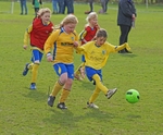 DSC00186