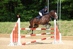 Class 14: Senior 1.15m Open portfolio
